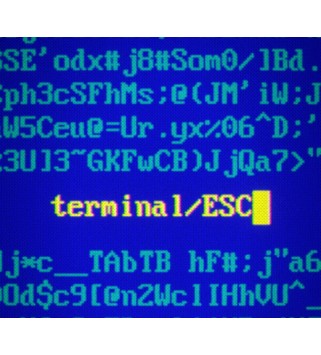 Terminal ESC Steam Key GLOBAL